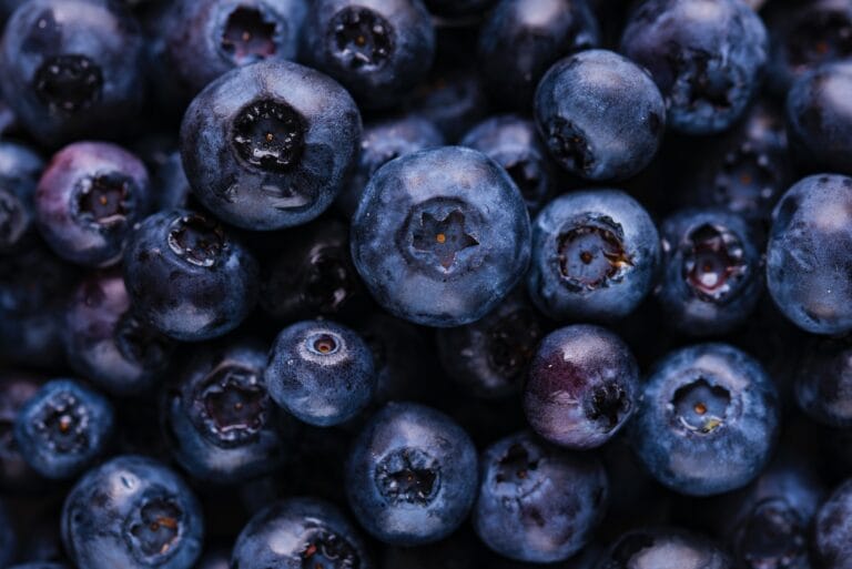 joanna kosinska evqbxxecre4 unsplash (1)