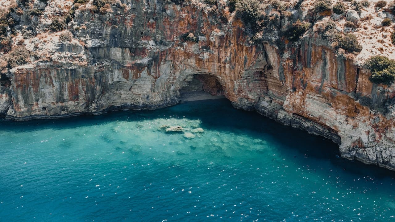 pexels çağın kargi 8633909