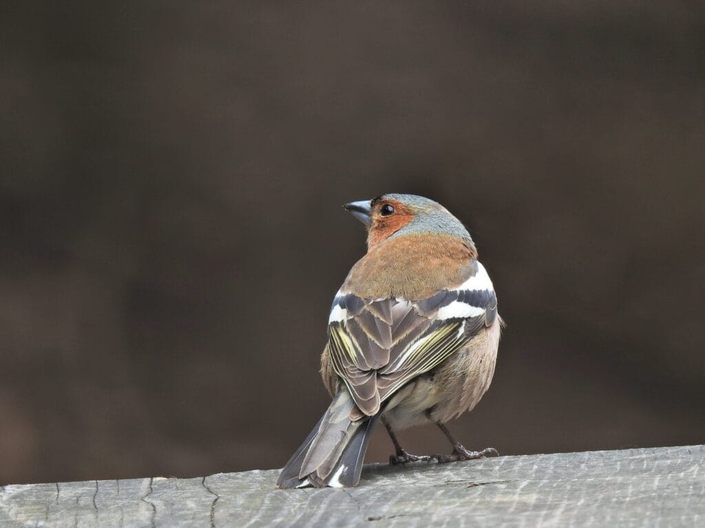 47608069962 cef167ef00 o