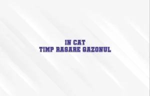 in cat timp rasare gazonul