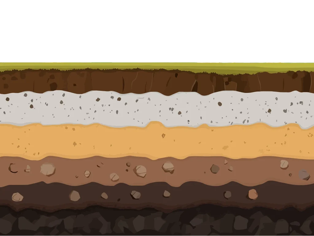 la ce distanta de casa se planteaza paulownia