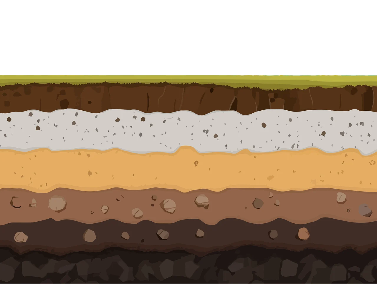 la ce distanta de casa se planteaza paulownia