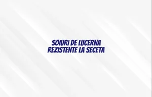 soiuri de lucerna rezistente la seceta