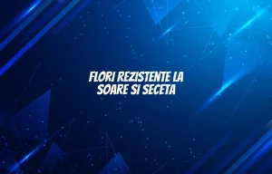 flori rezistente la soare si seceta