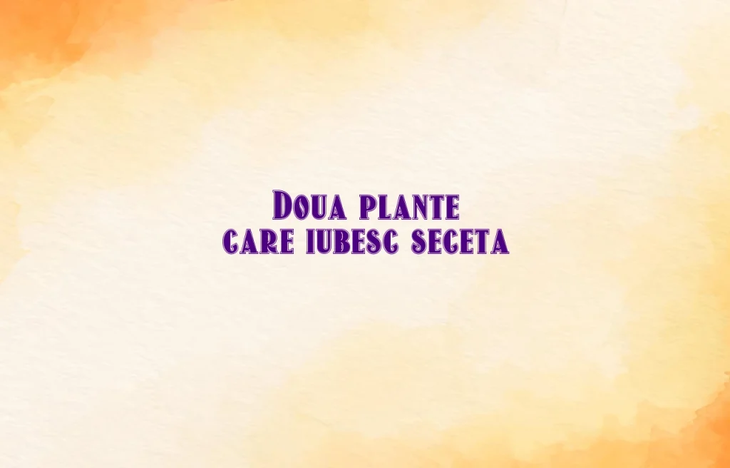 doua plante care iubesc seceta