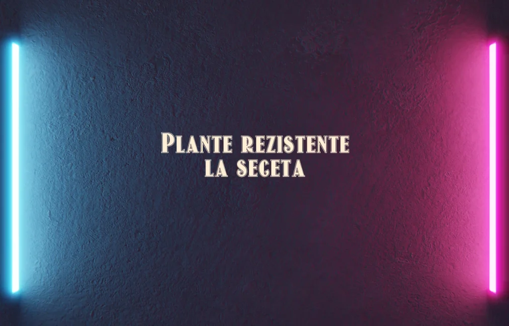 plante rezistente la seceta