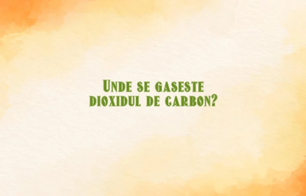 unde se gaseste dioxidul de carbon
