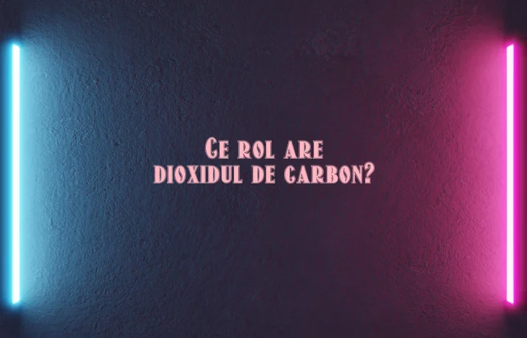 ce rol are dioxidul de carbon