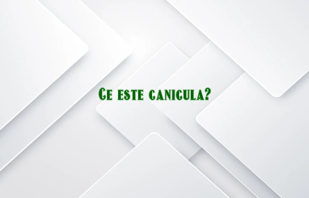 ce este canicula