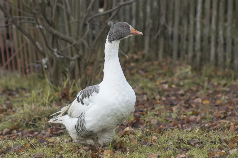 cat consuma un uscator de rufe cu pompa de caldura