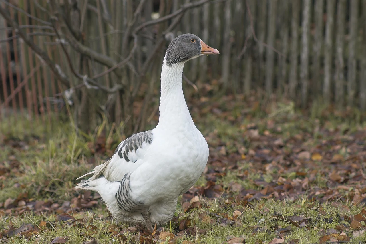 cat consuma un uscator de rufe cu pompa de caldura