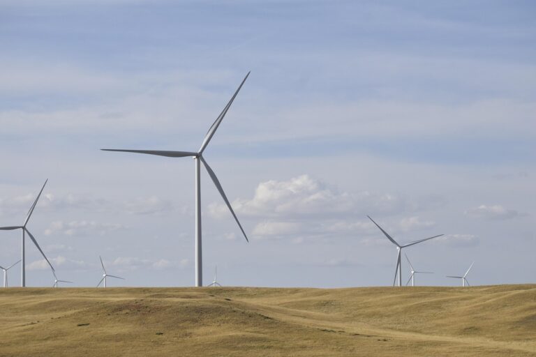 moduri de a reduce amprenta de carbon