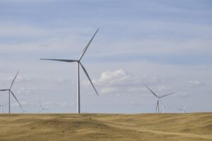 taxa pe amprenta de carbon