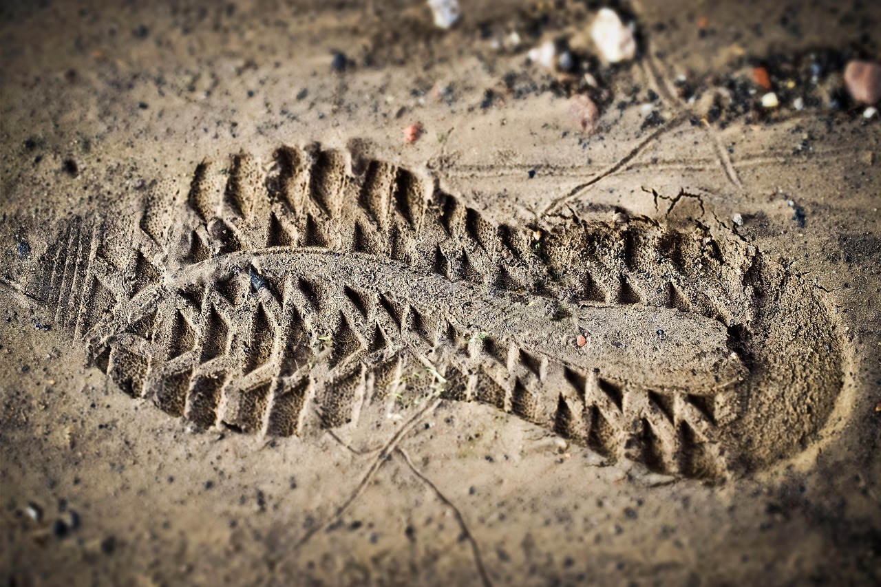 legislatie amprenta de carbon
