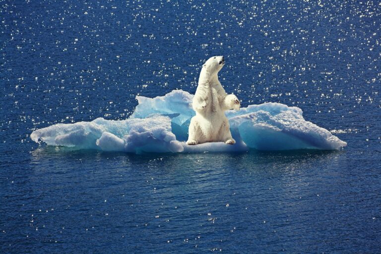 clima egiptului