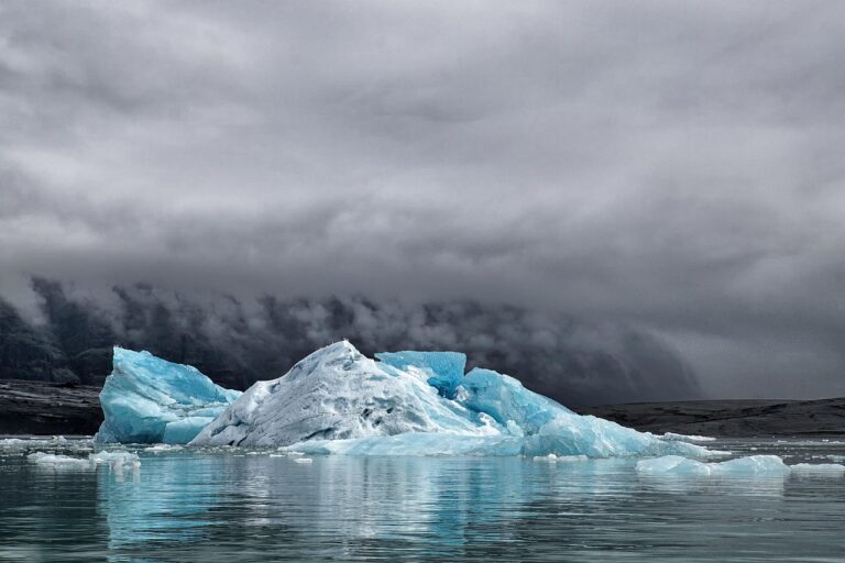 activitati schimbari climatice